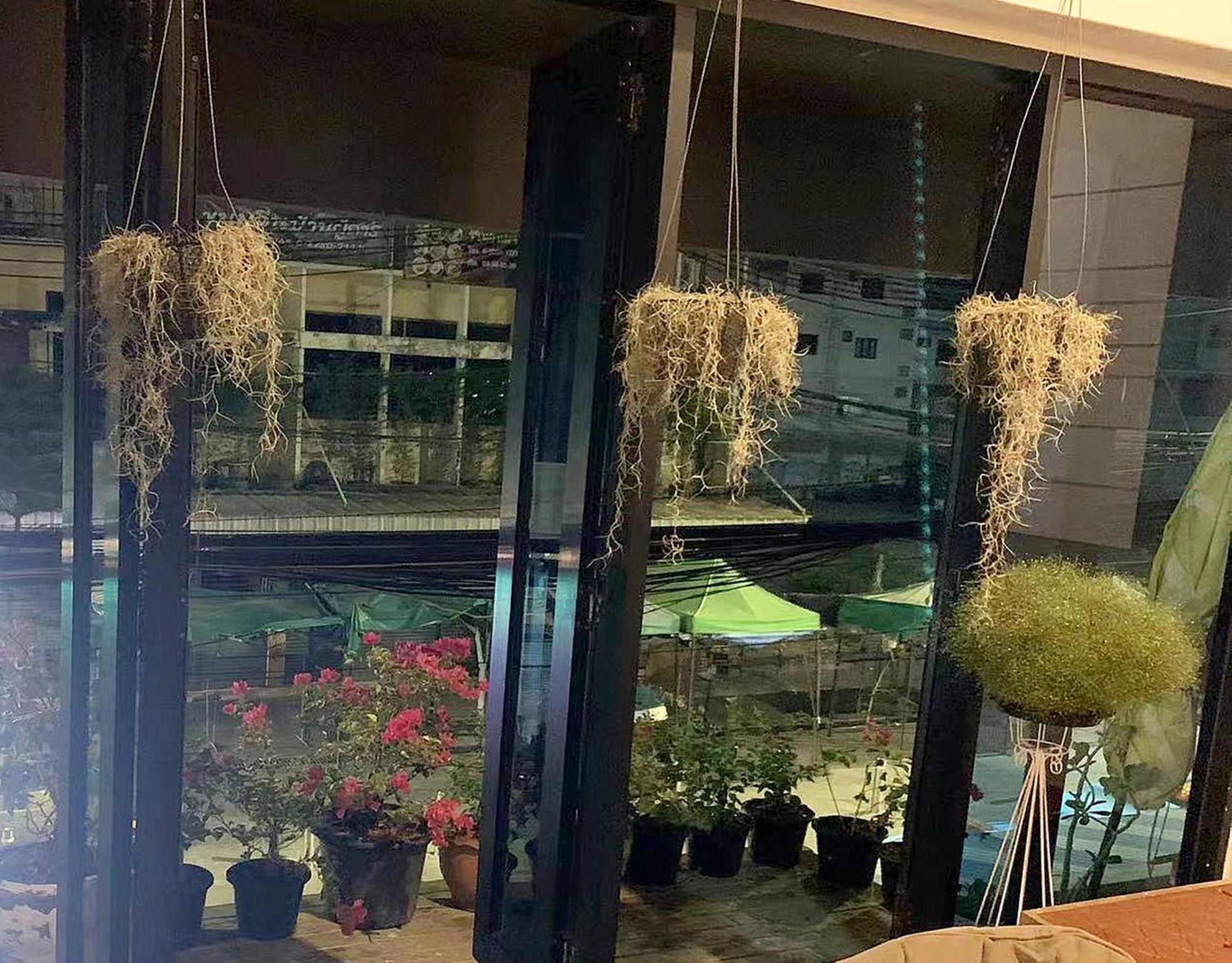 Skylark Bangkok 云雀 Apartment Exterior photo